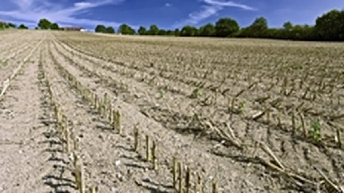 INS incepe in decembrie colectarea datelor pentru recensamantul agricol