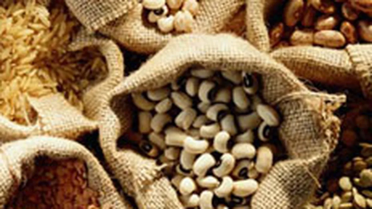 Vindem tot mai mult: Romania, pe locul 2 in UE la cresterea anuala a exporturilor