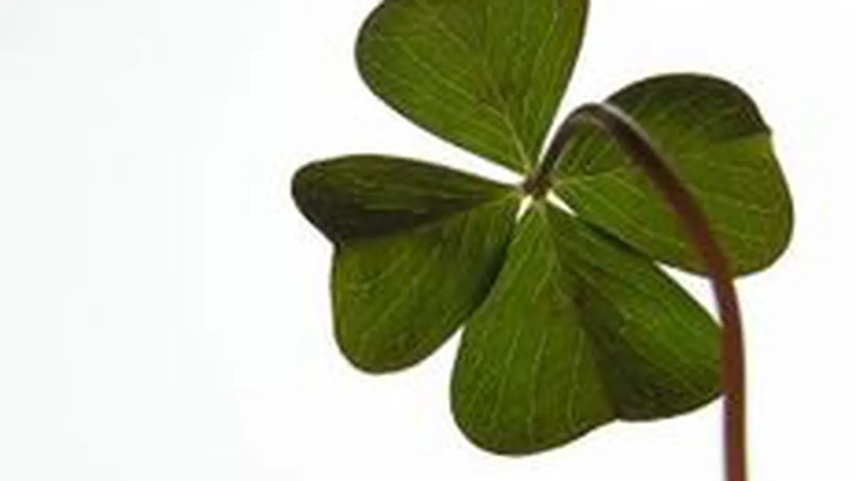 4 secrete ale oamenilor norocosi