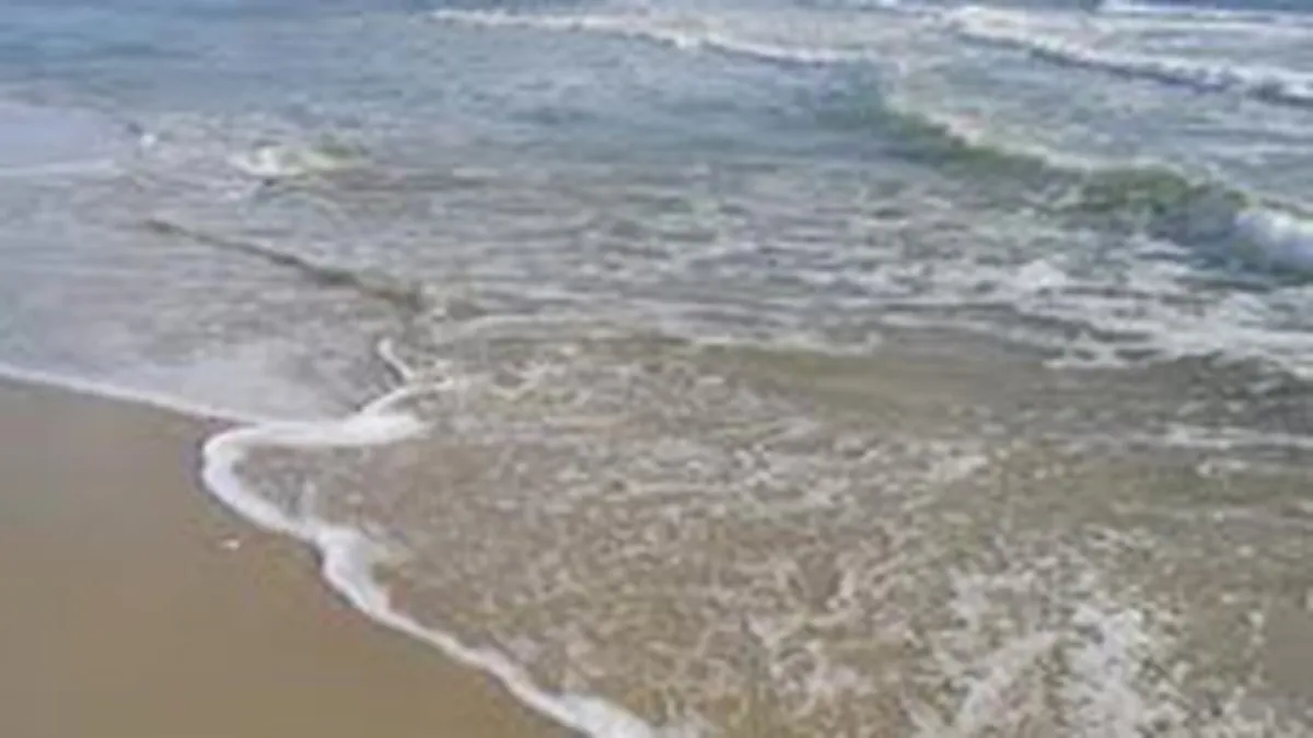 Sezonul estival 2010 a fost cu 15% mai slab