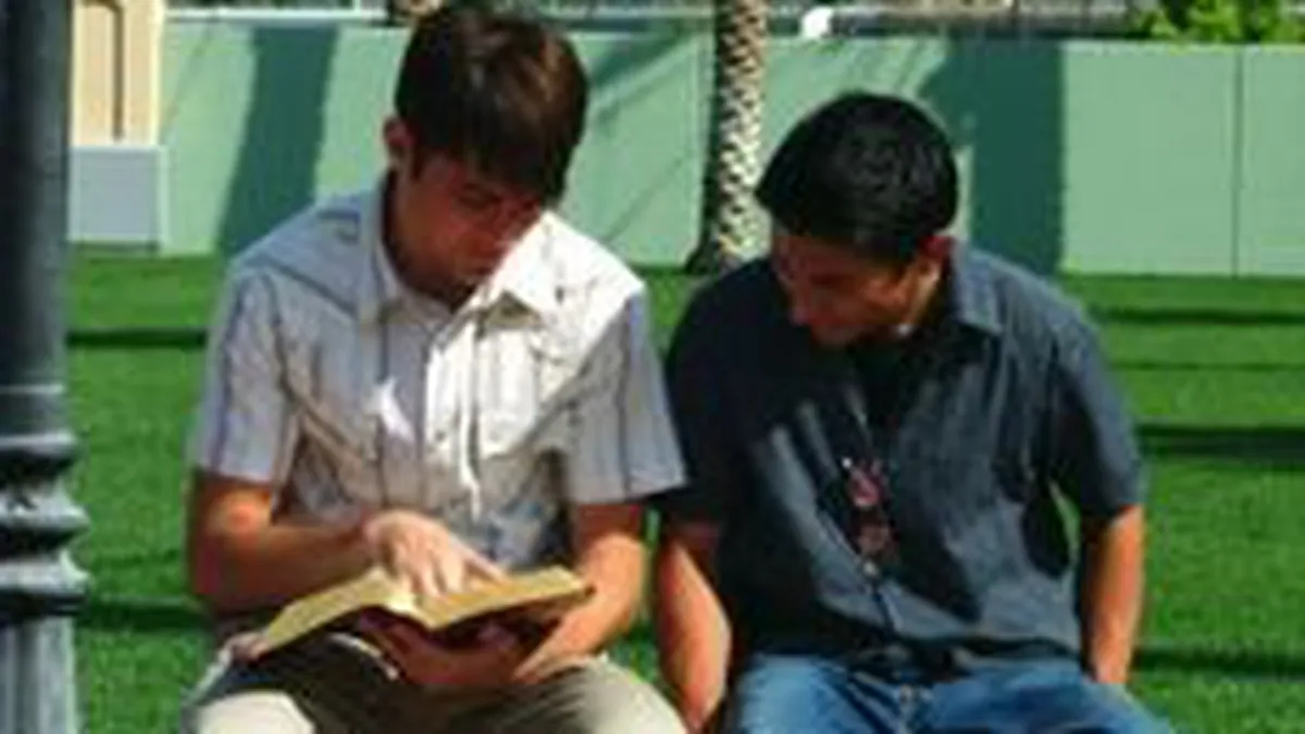 Ordonanta pentru sustinerea tinerilor intreprinzatori va fi adoptata de Guvern