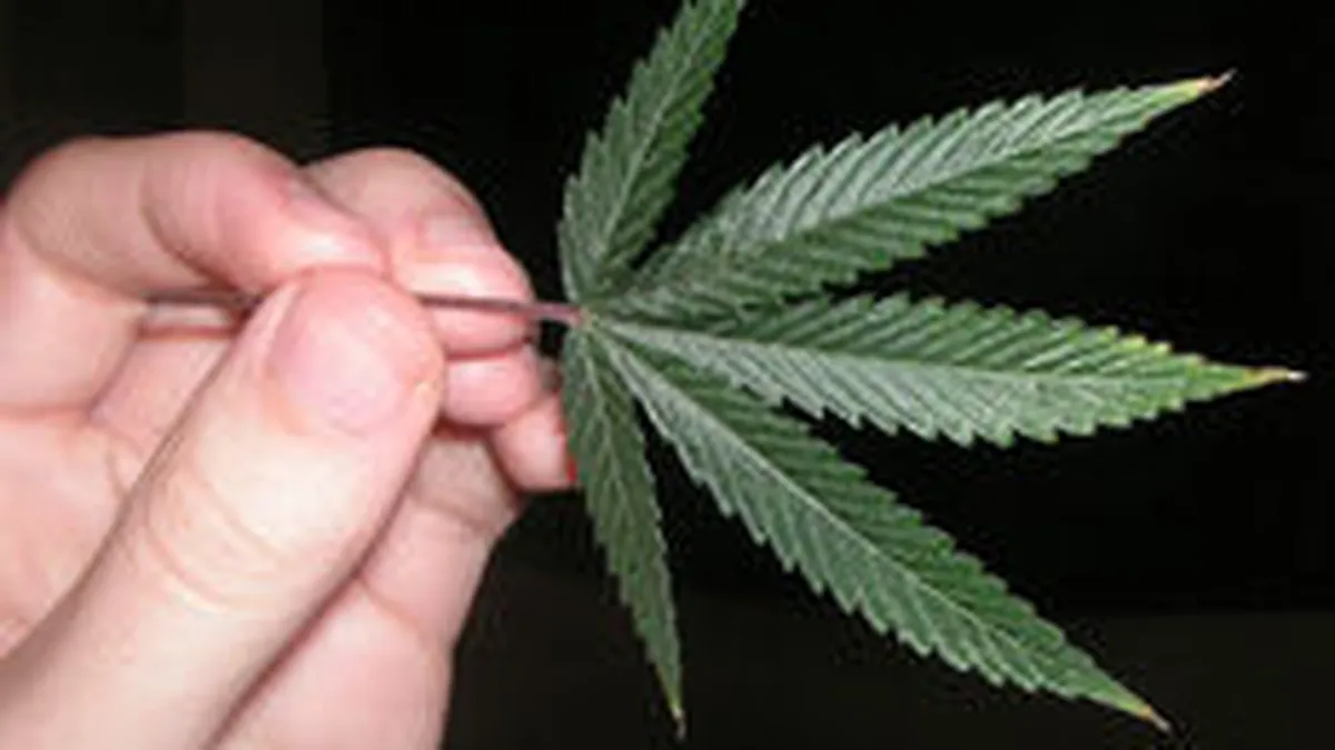 Un dezvoltator Facebook a donat 100.000 $ pentru o campanie de legalizare a drogurilor