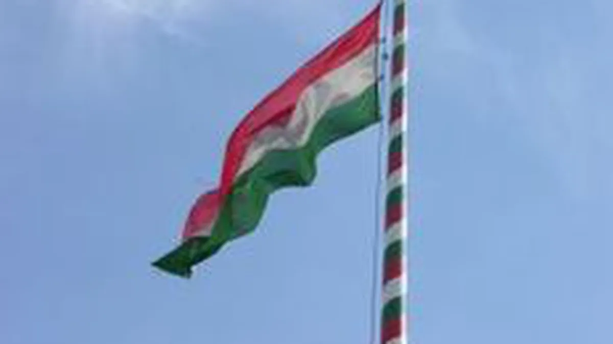 Guvernul ungar intentioneaza sa concedieze 25.000 de angajati din sectorul public in 2011