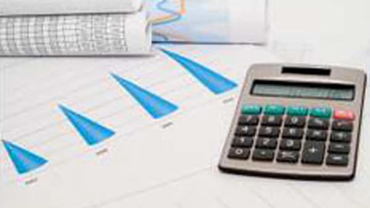 Creditele neperformante ar putea ajunge anul acesta la 20% din total