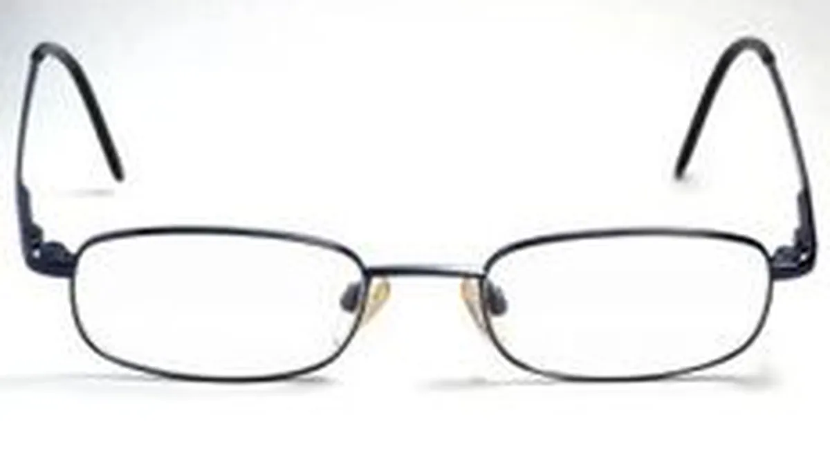 Parlamentarii ar putea obtine acces la documentele privatizarilor