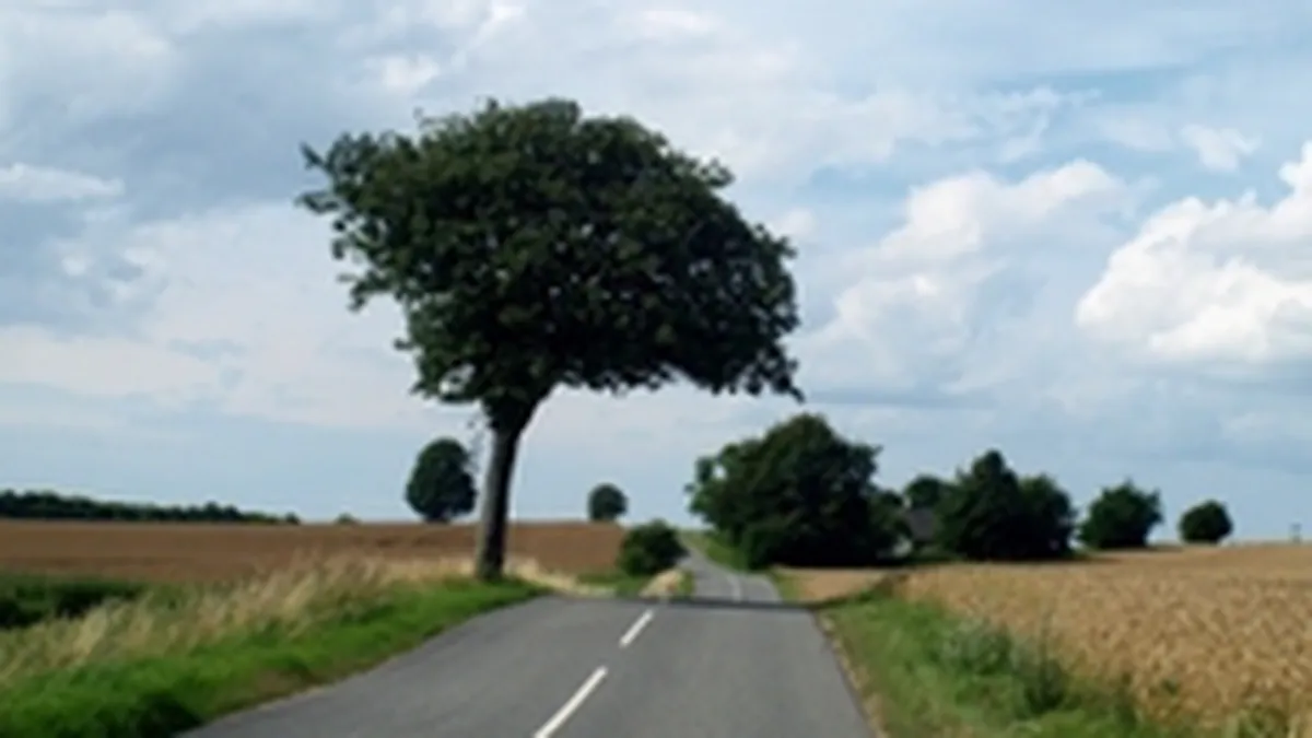 Boagiu: BEI ne acorda finantare de 600 mil. euro pentru drumuri nationale