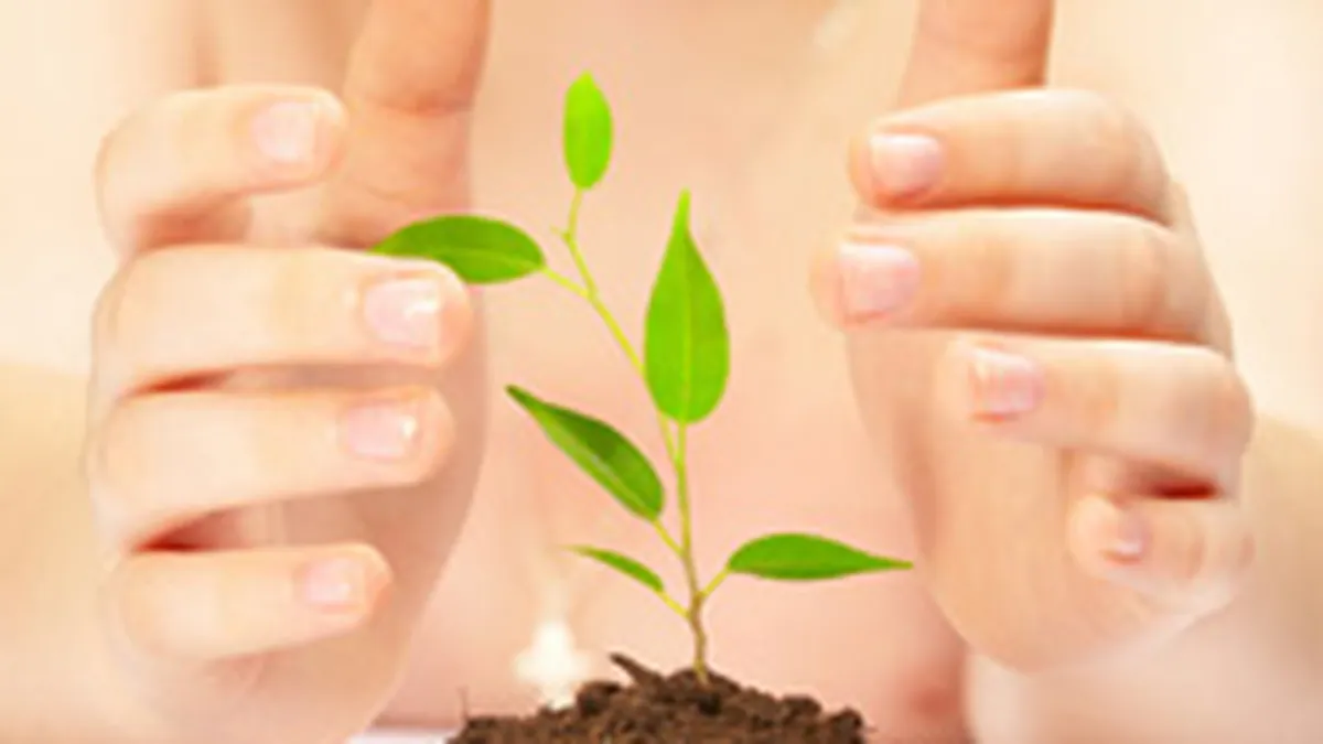 Cum sa investesti \cu cap\ in CSR