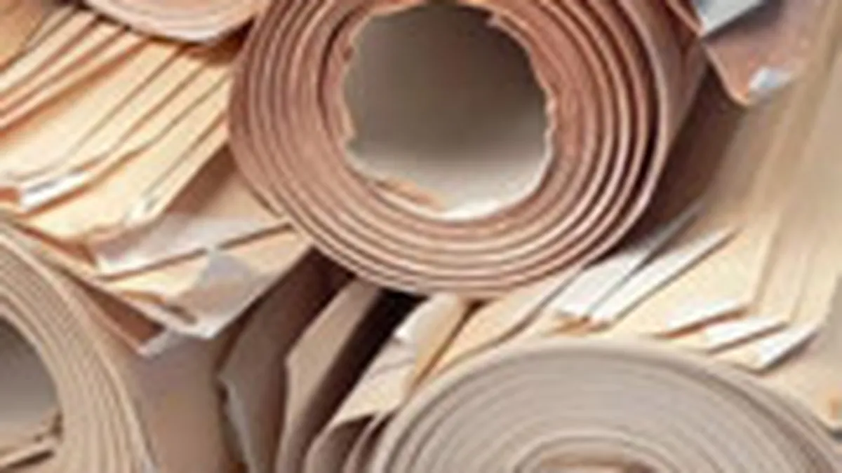 Ce planuri au dezvoltatorii imobiliari pentru 2011