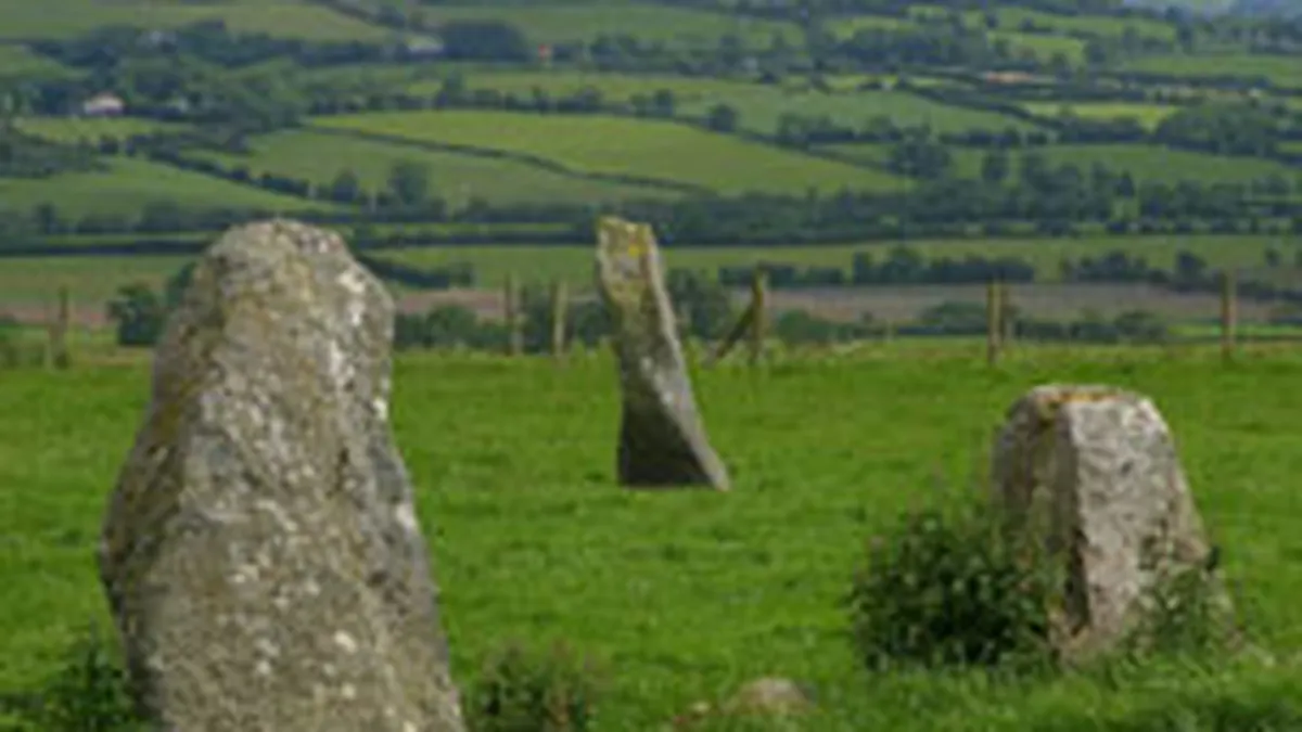 Irlanda primeste un ajutor financiar international mai consistent decat Grecia