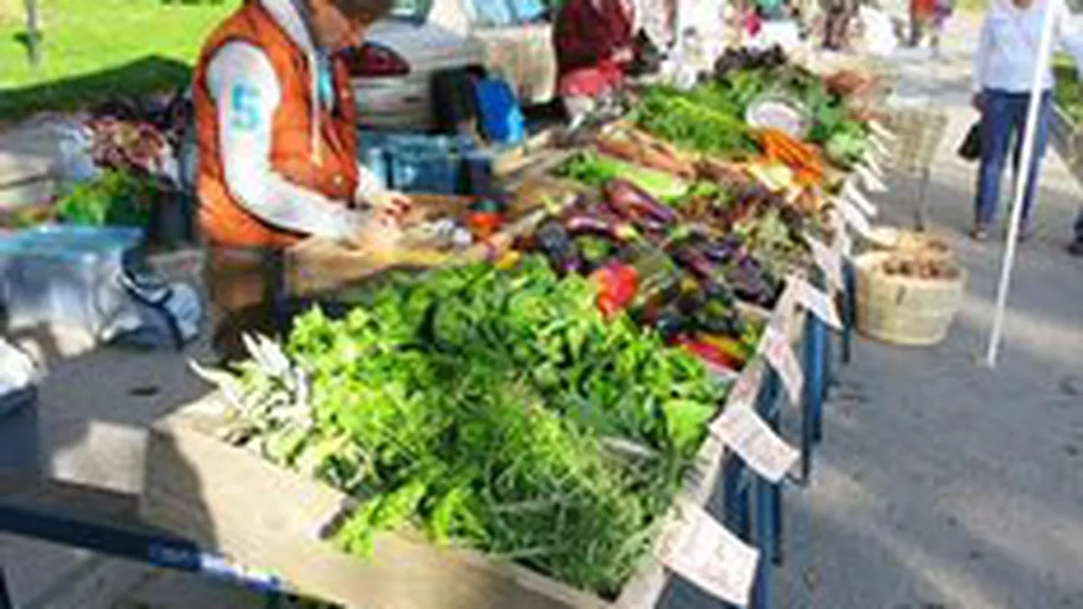 Vasilescu, BNR: Taranii nu pot castiga daca pacalesc clientii. Asta tine tara in loc