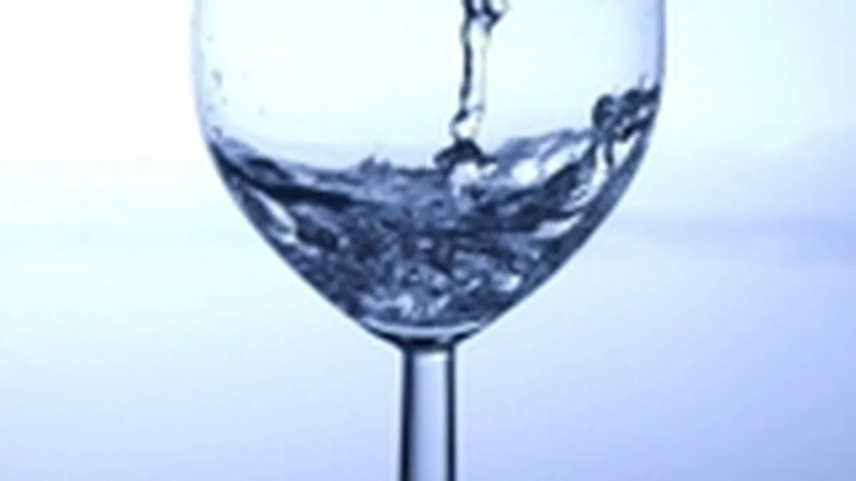 Unele bauturi alcoolice fermentate ar putea fi interzise din 2011