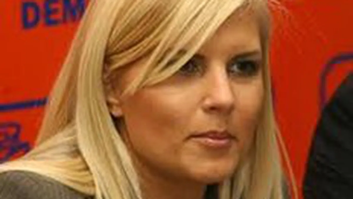 Udrea: Nu PSD si PNL ne incurca, ci televizoarele