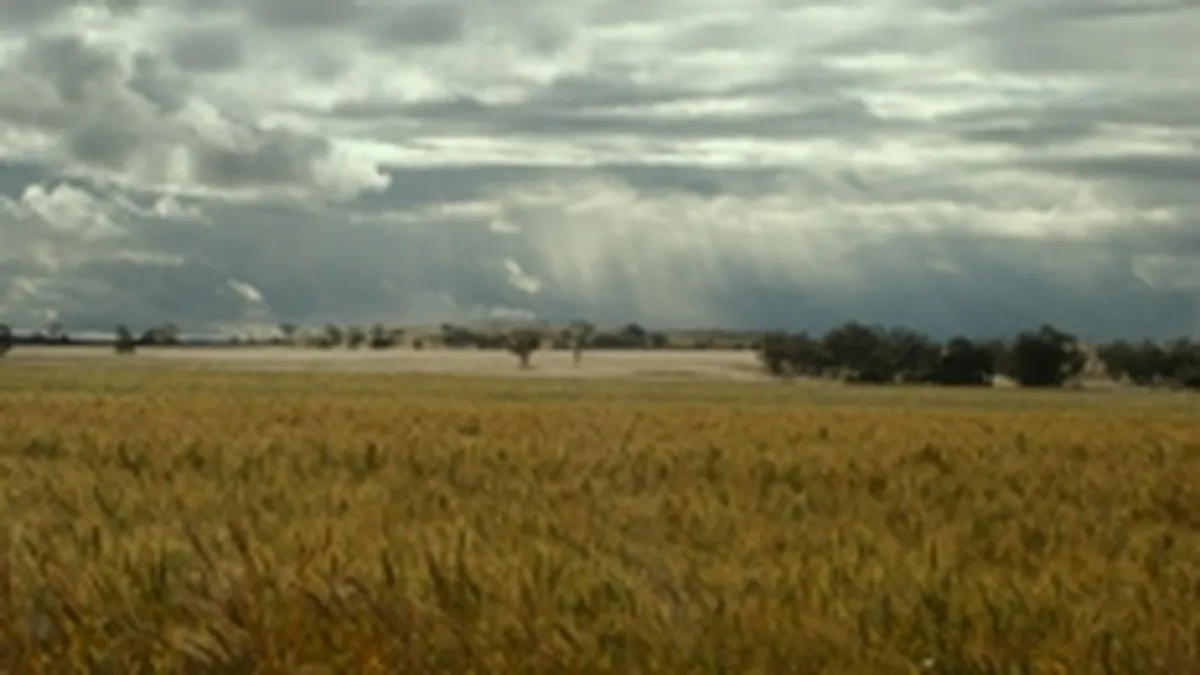 CE recomanda Romaniei si Bulgariei sa permita cetatenilor din UE achizitia de terenuri agricole