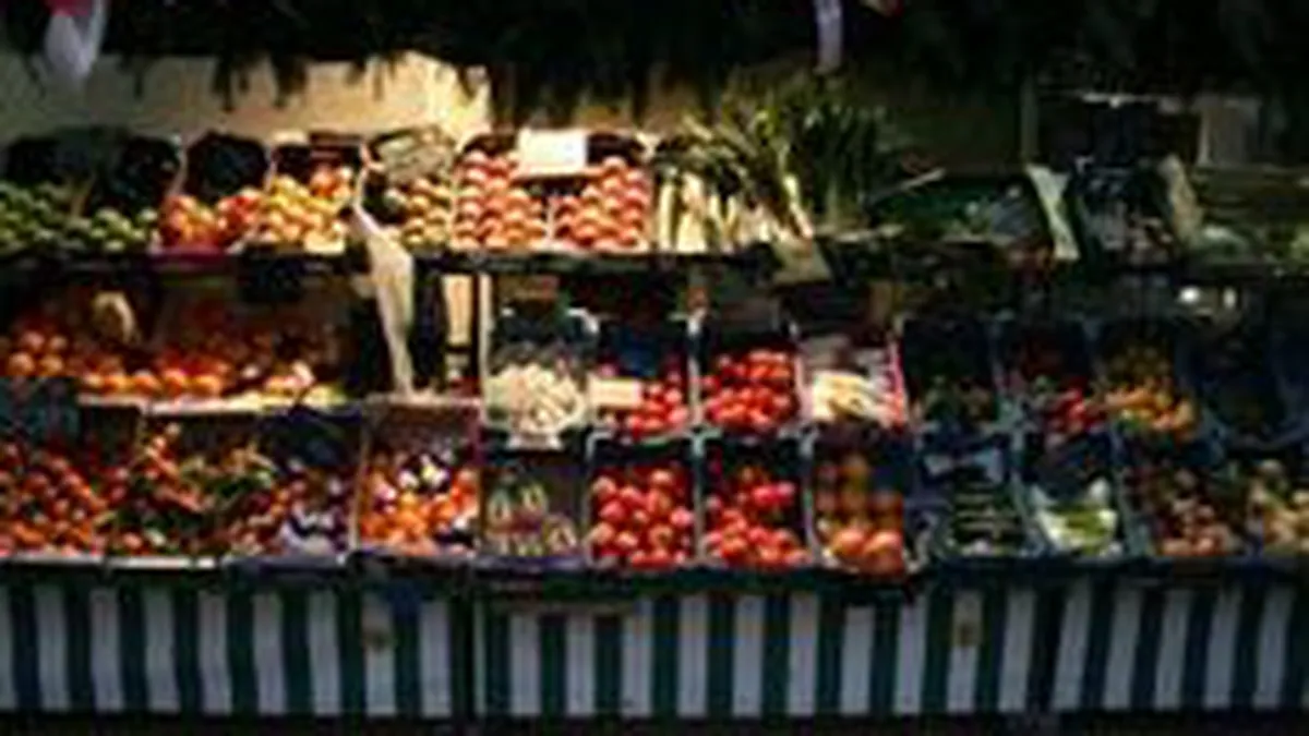 Ministerul Agriculturii cauta lautari pentru a participa la cel mai mare targ de profil din Europa