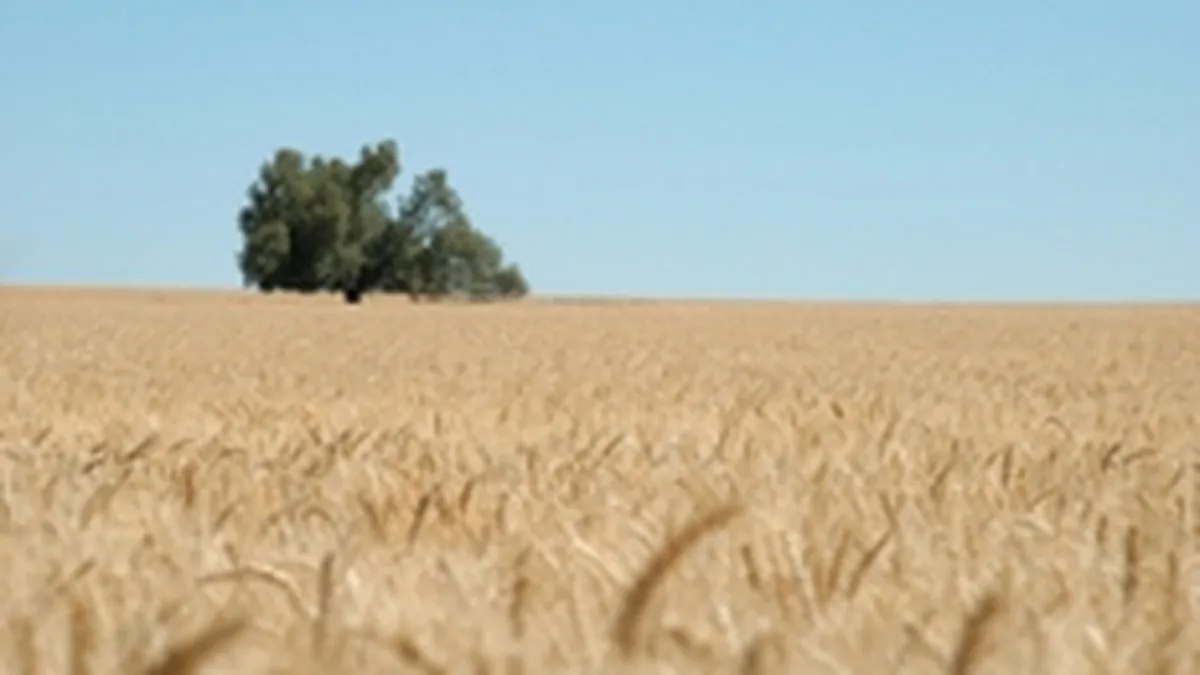 Comisia Europeana a aprobat solicitarea Romaniei privind taxarea inversa la cereale