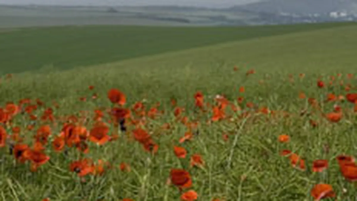 Guvernul pregateste impozitarea terenurilor nelucrate