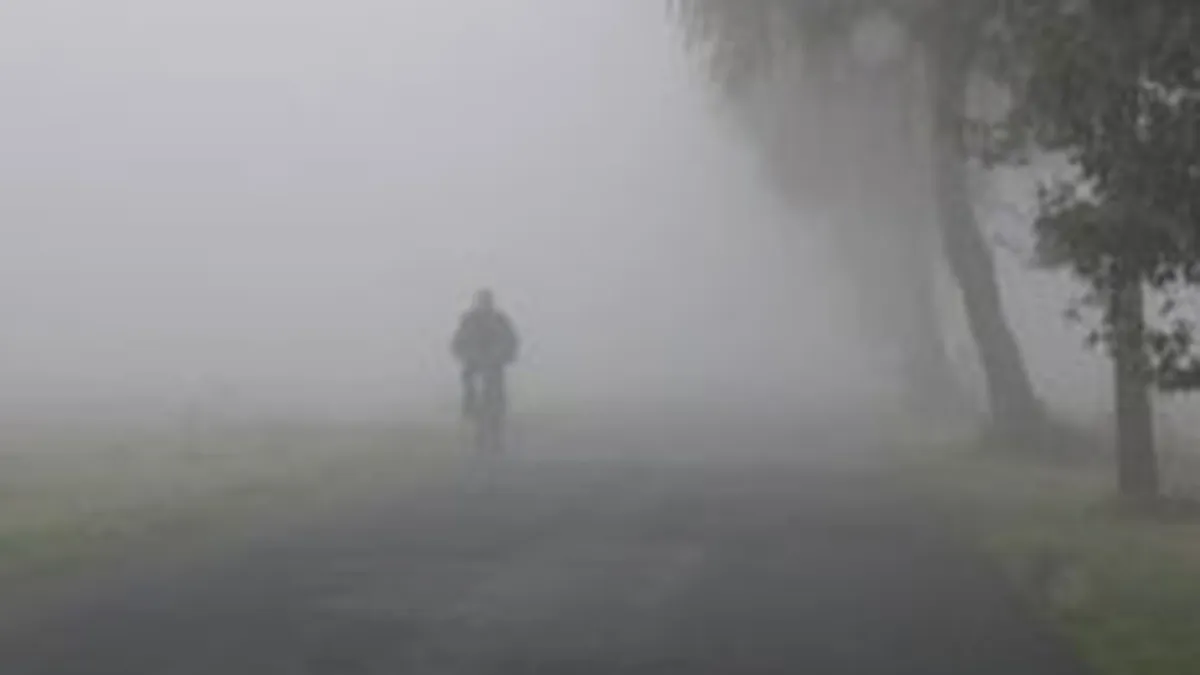 Ceata ingreuneaza circulatia pe mai multe drumuri nationale si pe cele doua autostrazi