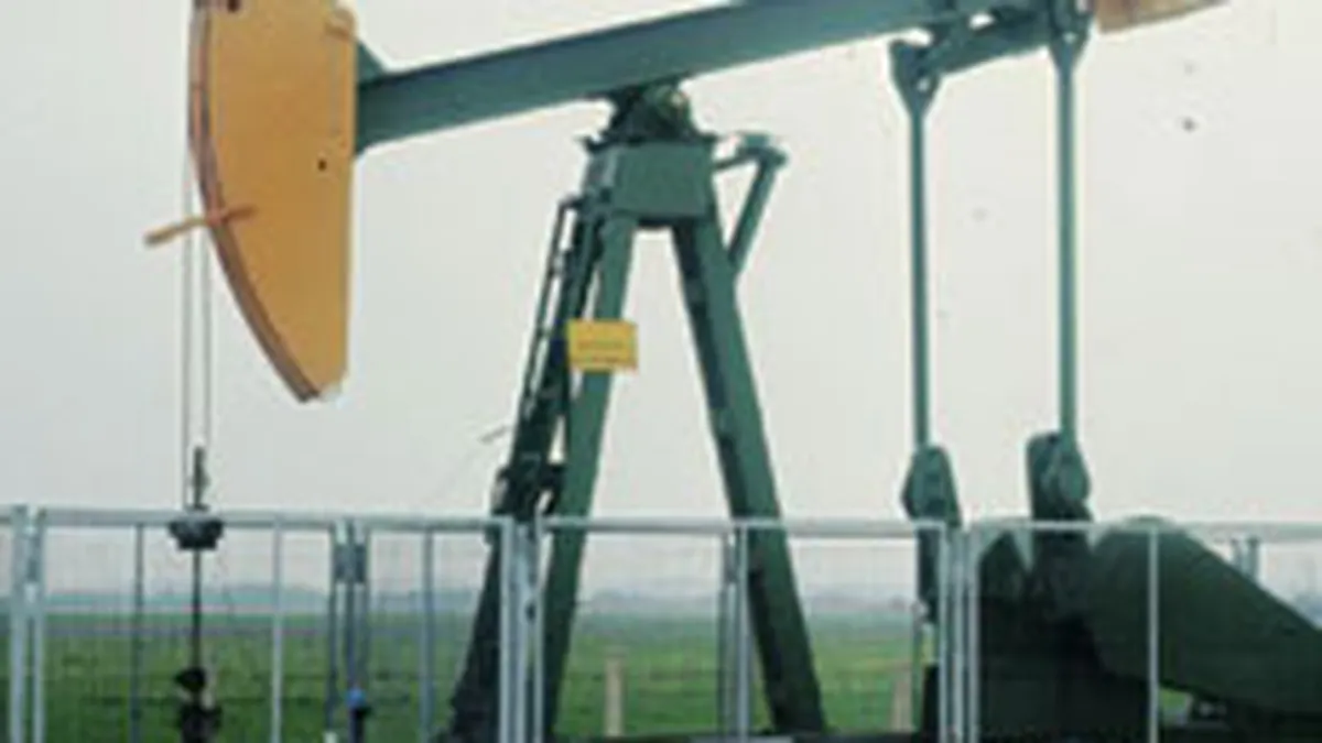 Ministru saudit: Cererea globala de petrol va creste cu 2% in 2011, iar preturile se vor stabiliza