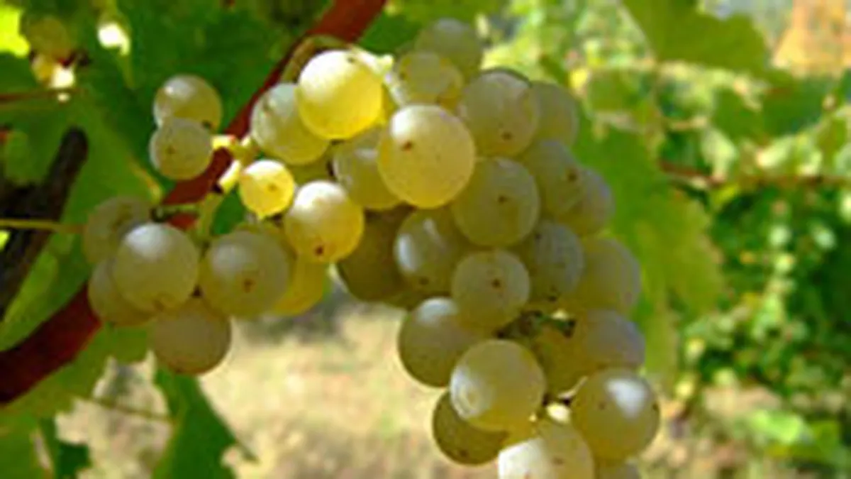 Via de la Dragasani a guvernatorului BNR, calcata de hoti. Afla ce s-a furat