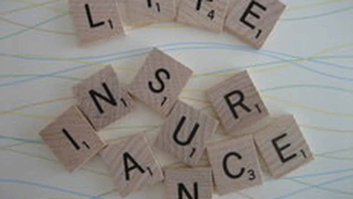 Asigurari de viata: Companiile se asteapta la un avans usor al pietei in 2011