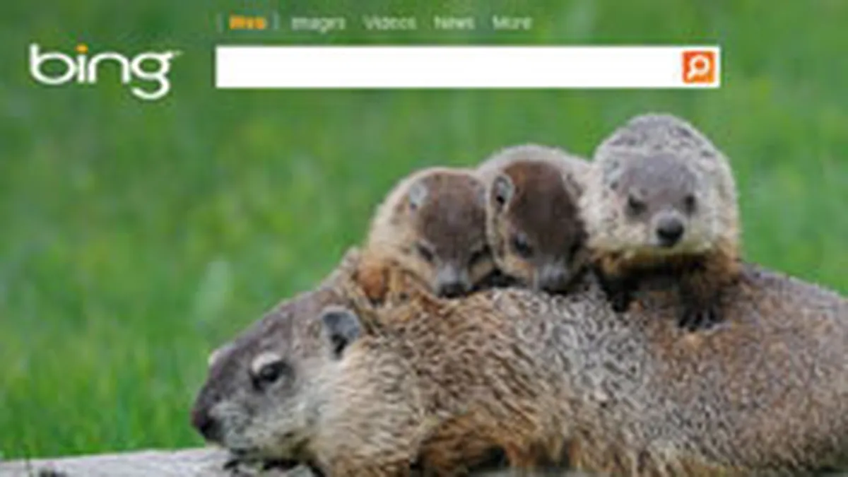 Google acuza Bing ca ii copiaza rezultatele cautarilor