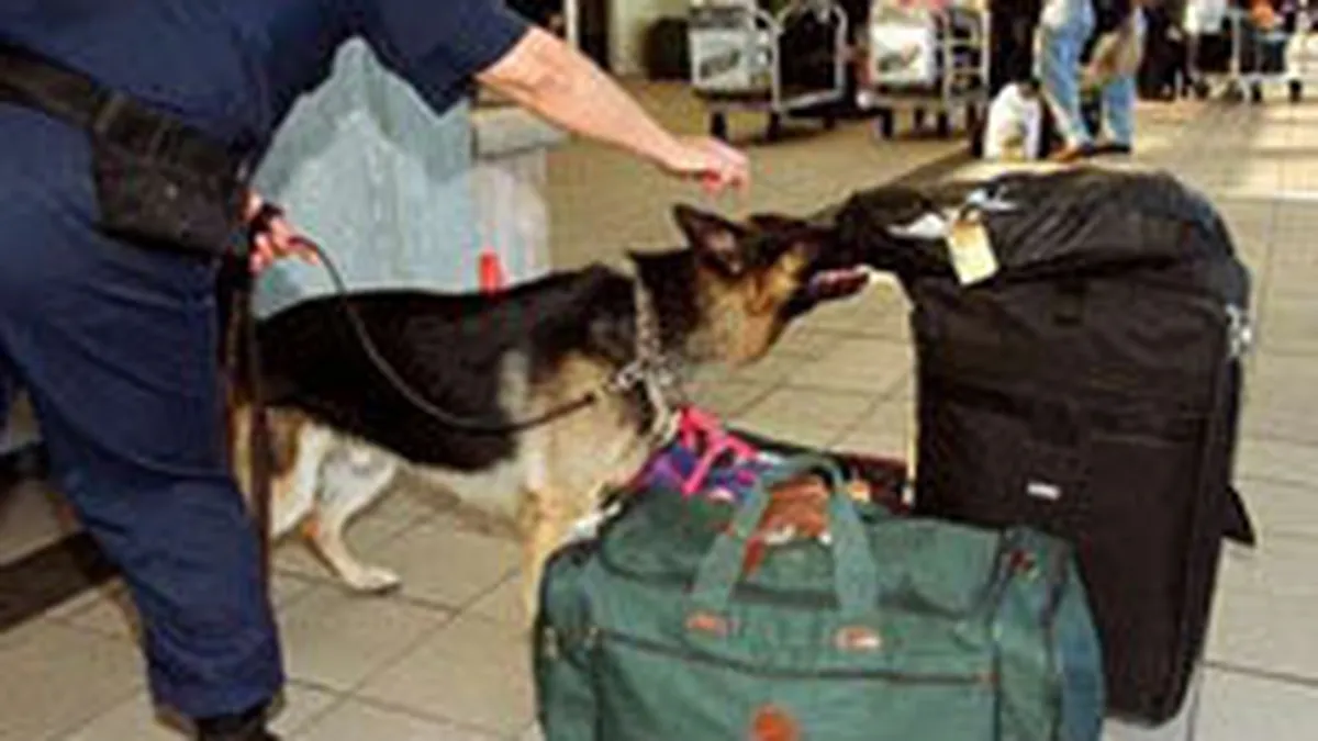 30 de vamesi de la PTF Siret au fost arestati preventiv vineri seara