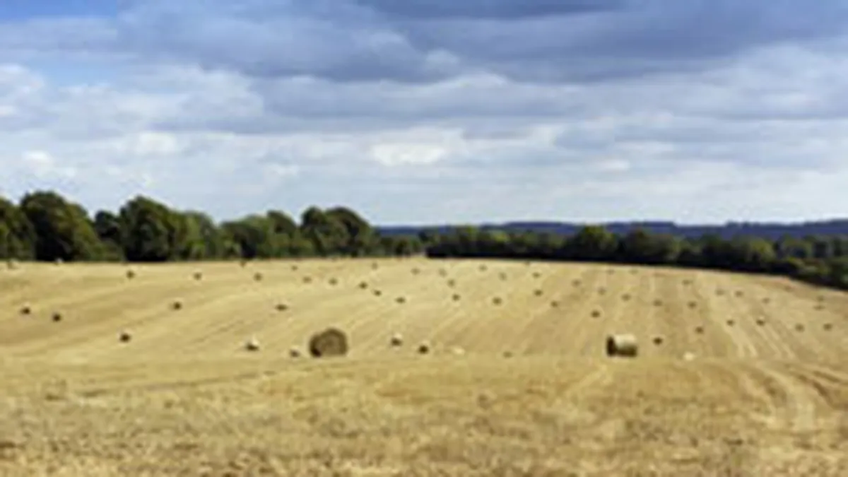 Romania ar putea fi amendata de CE cu 99 mil. euro