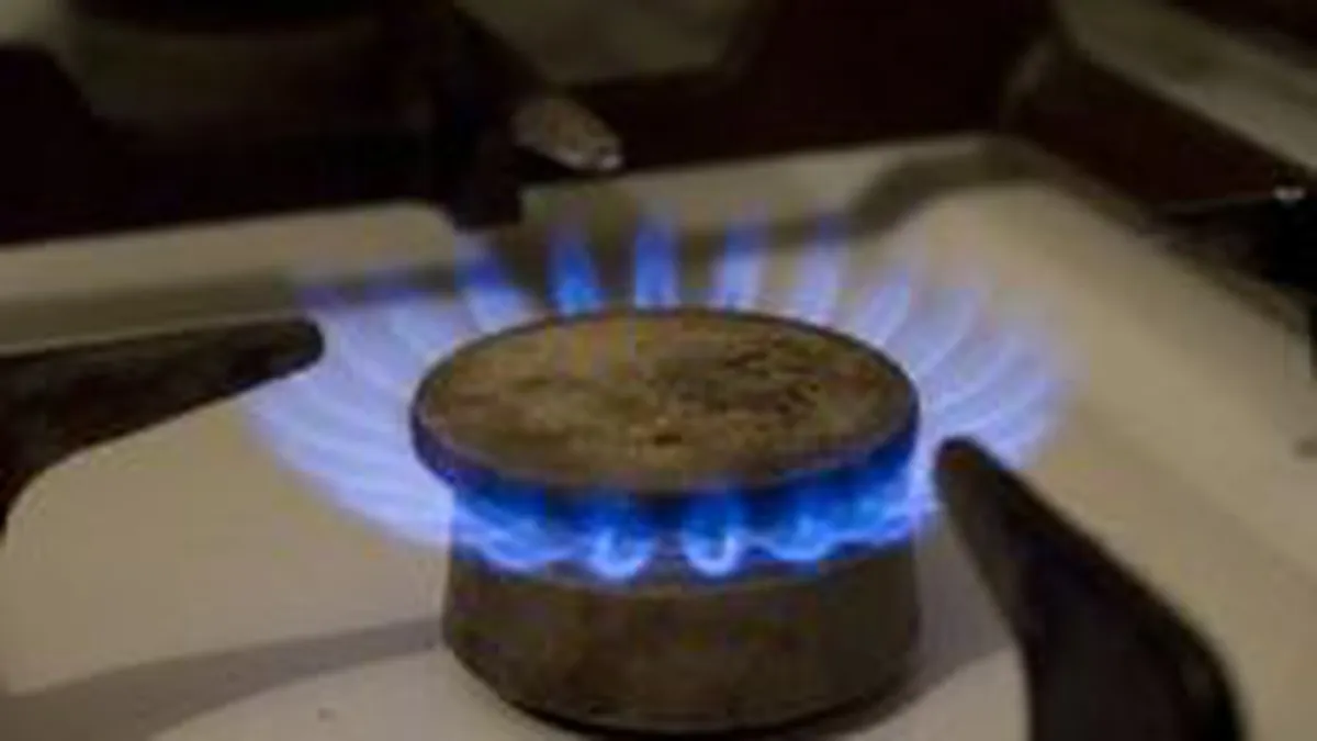 E.ON: Trebuie gasita o solutie sociala acceptabila in privinta pretului gazelor naturale