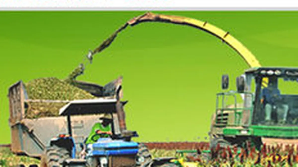 Fondul de investitii Hassad Food din Qatar, interesat de un parteneriat agricol cu Romania