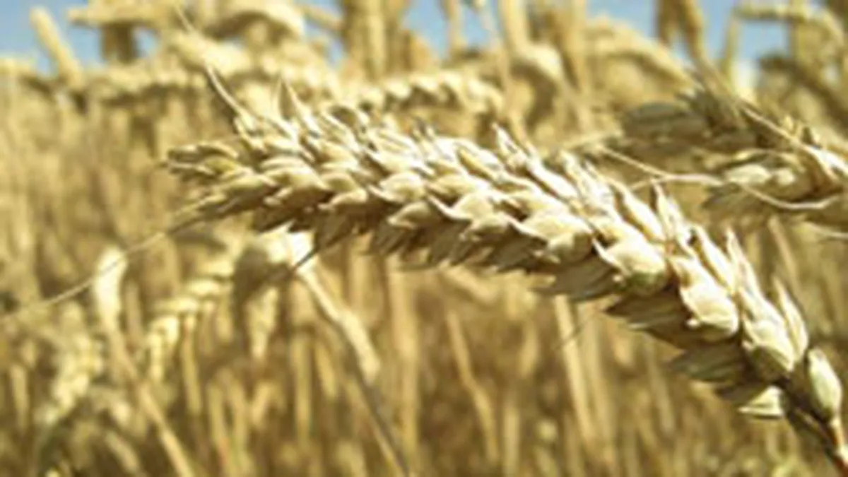 Titan a trecut pe pierdere in 2010, in ciuda cresterii afacerilor