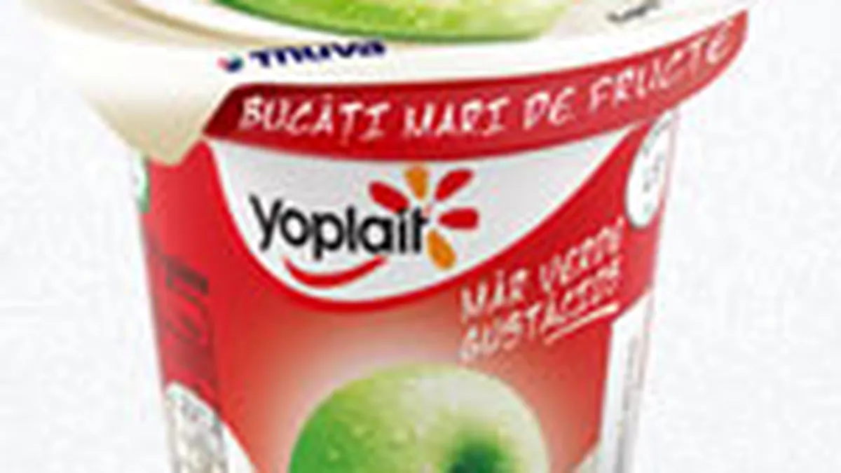 General Mills si Nestle vor sa cumpere jumatate din actiunile Yoplait cu 1,6 mld. euro