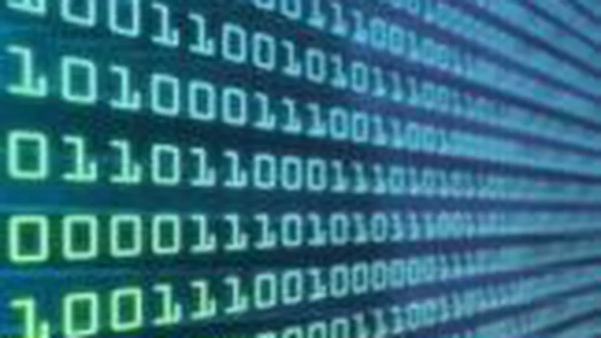 Piata romaneasca de software si servicii IT a scazut anul trecut cu 25%, la 800 mil. euro