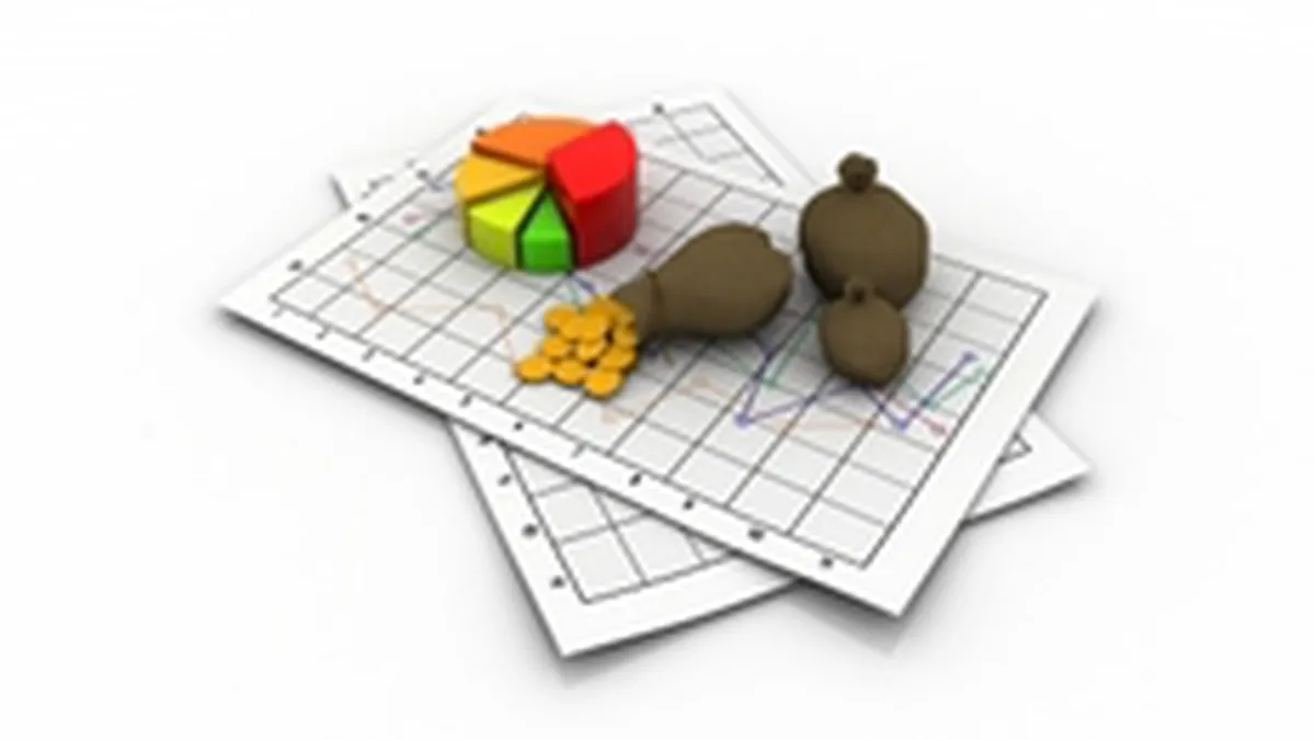 INS a revizuit: Economia a scazut cu 1,3% anul trecut