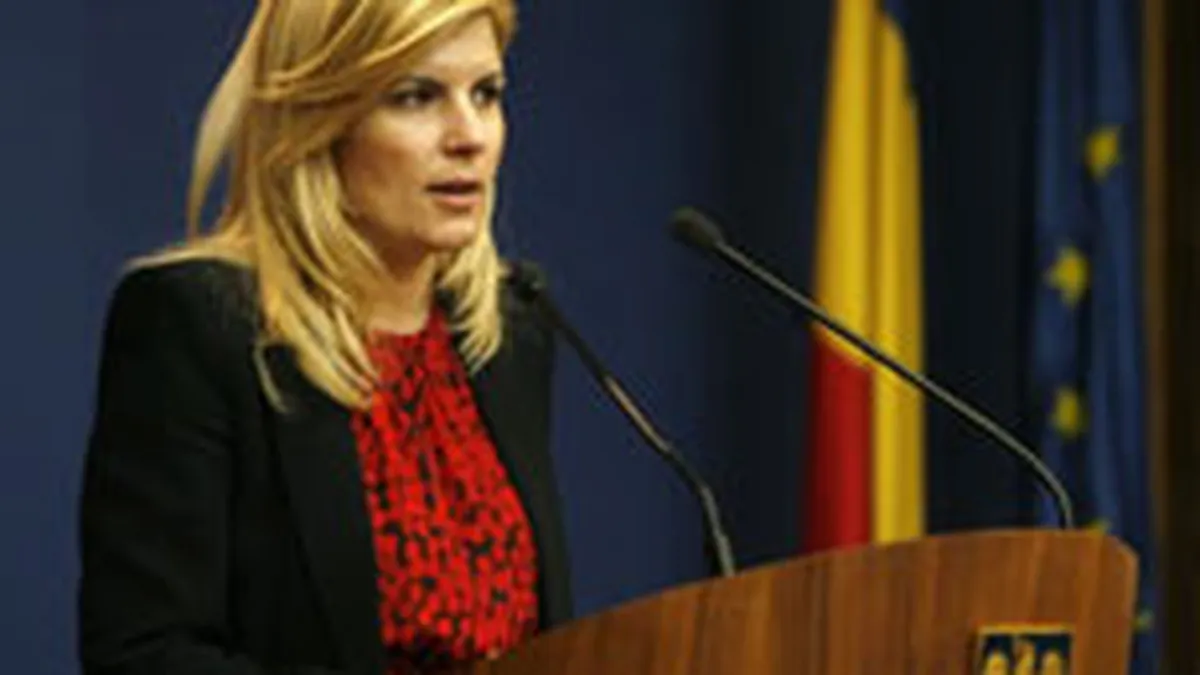 Udrea vrea sa cumpere servere de 1,7 mil. lei pentru a tine evidenta turistilor