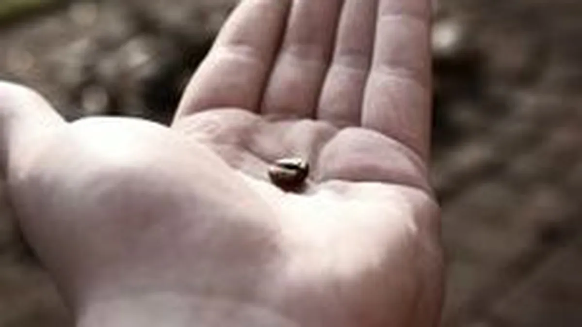 Om de afaceri din Dublin, socat ca un roman i-a refuzat oferta de job, preferand asistenta statului