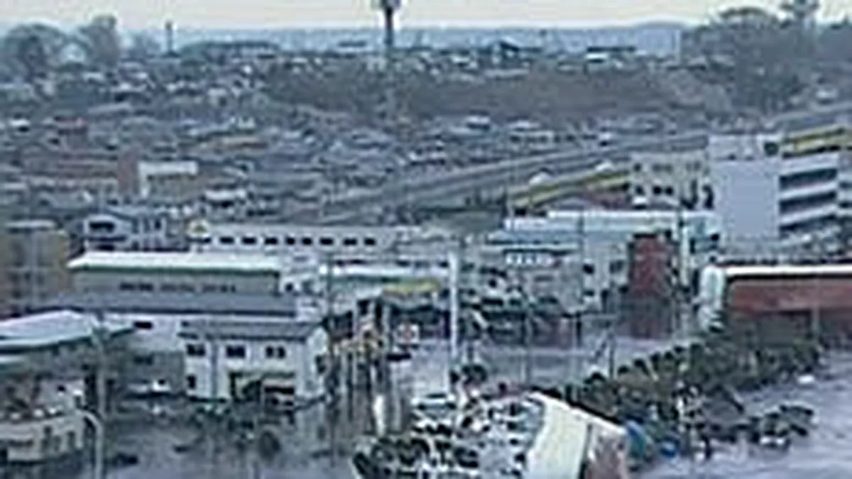 Ce industrii globale vor fi ologite de dezastrul din Japonia