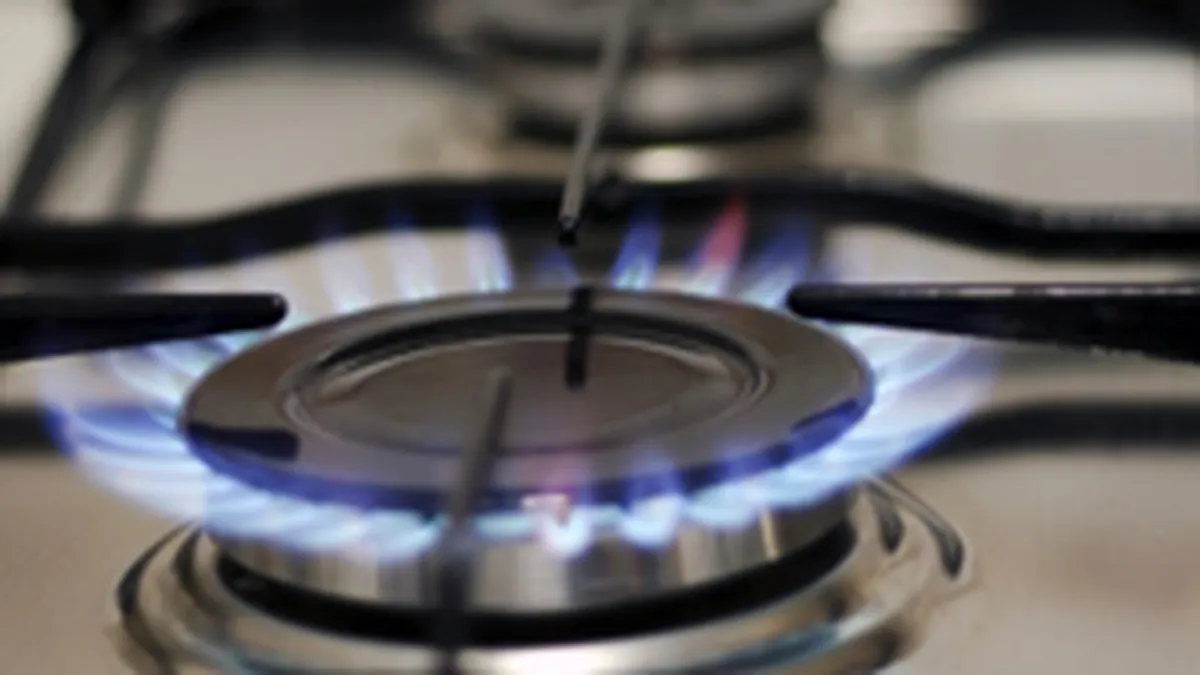 E.ON Romania: Pretul gazelor va exploda la iarna