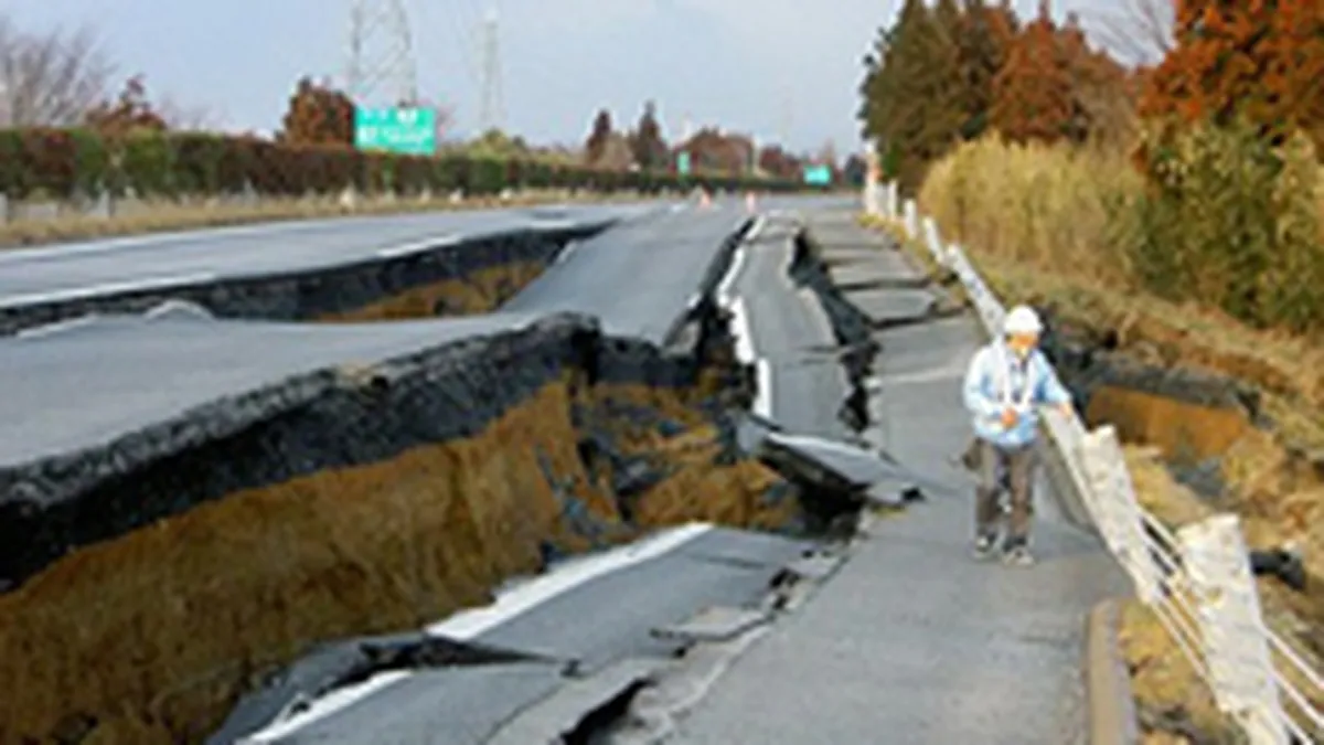 Ce efecte va avea cutremurul din Japonia asupra economiei romanesti