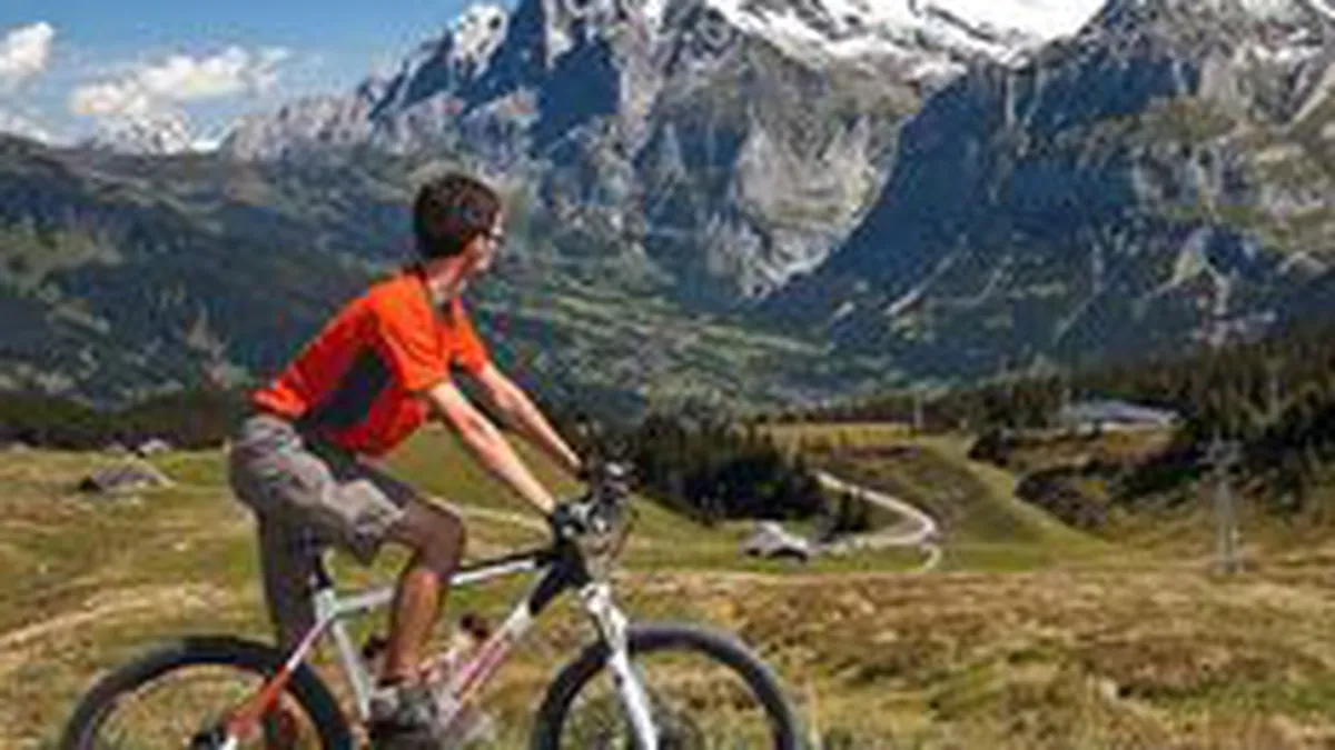 Cum a ajuns o firma din Resita sa produca una din zece biciclete vandute de Decathlon