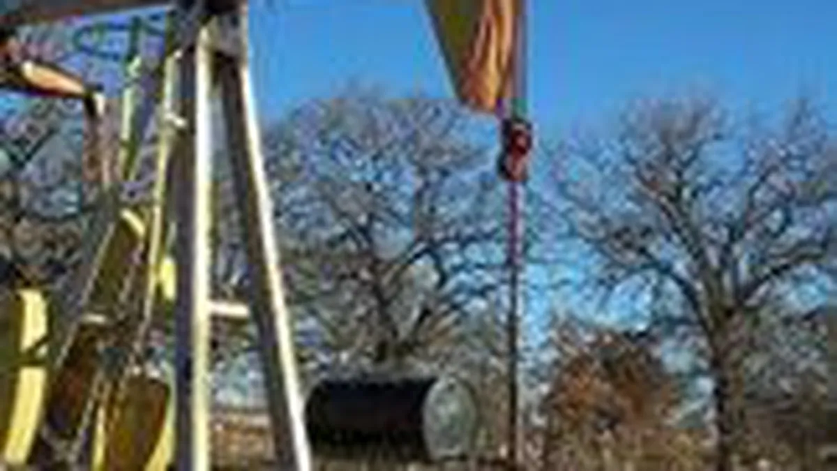 Preturile petrolului ar putea urca pana la 150-200 $ pe baril pe termen scurt