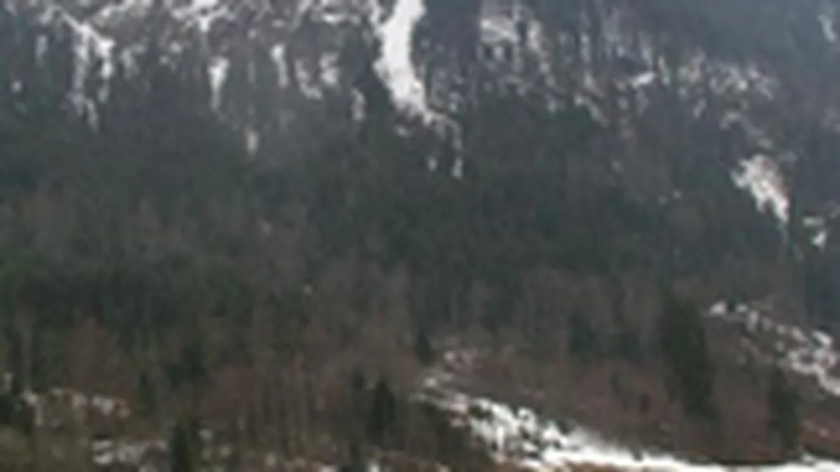 Austria Incoming se promoveaza anul acesta in Romania cu 230.000 euro