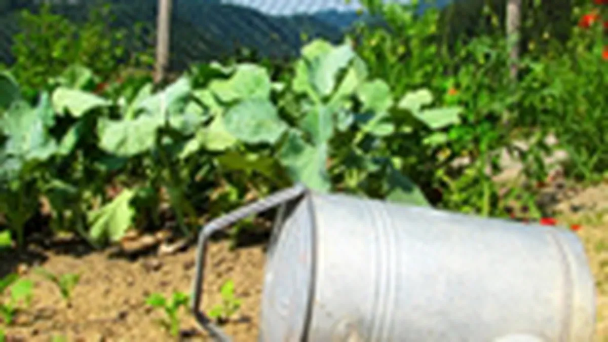 ANOFM a trimis 113.000 de romani la munca in strainatate, in 2010