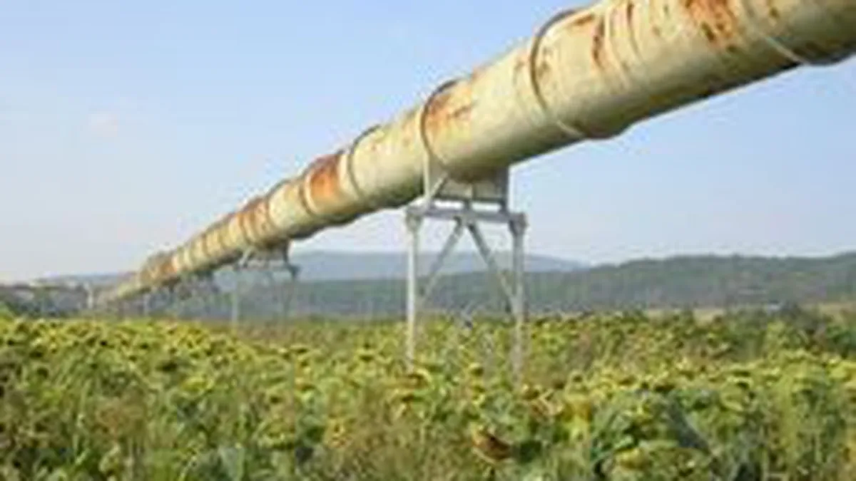 Productia de gaze a scazut anul trecut cu 2,8%, iar importurile au avansat cu 16,5%