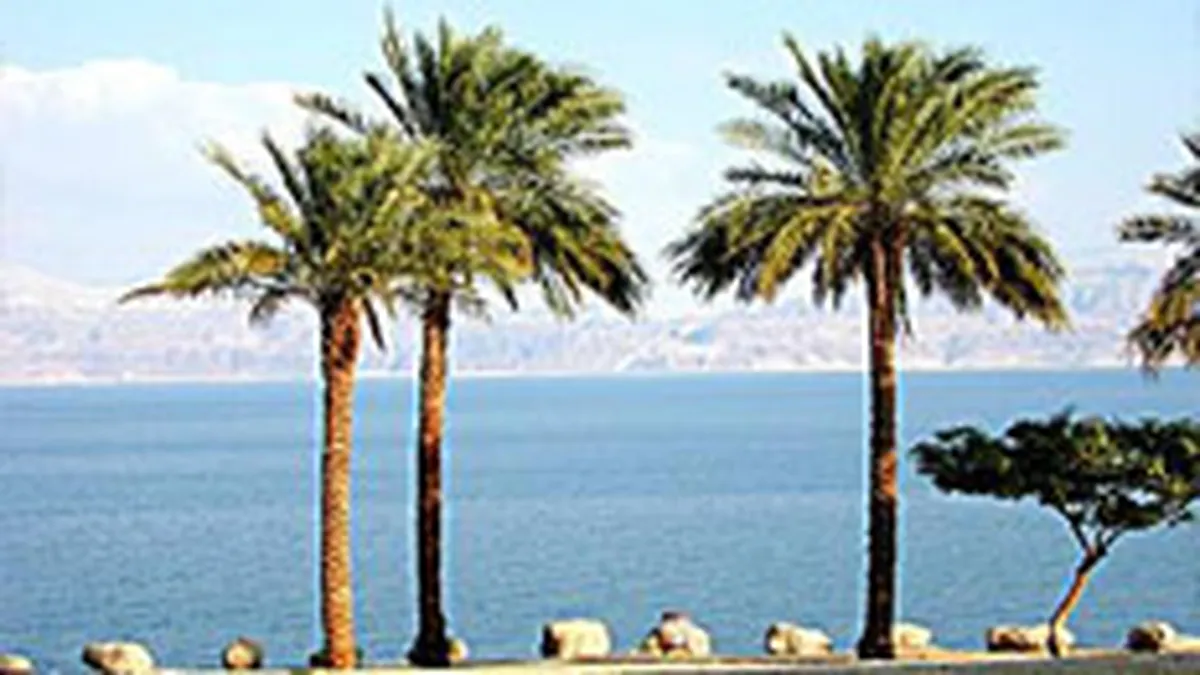 Cati bani cheltuie operatorii turistici pentru promovarea online