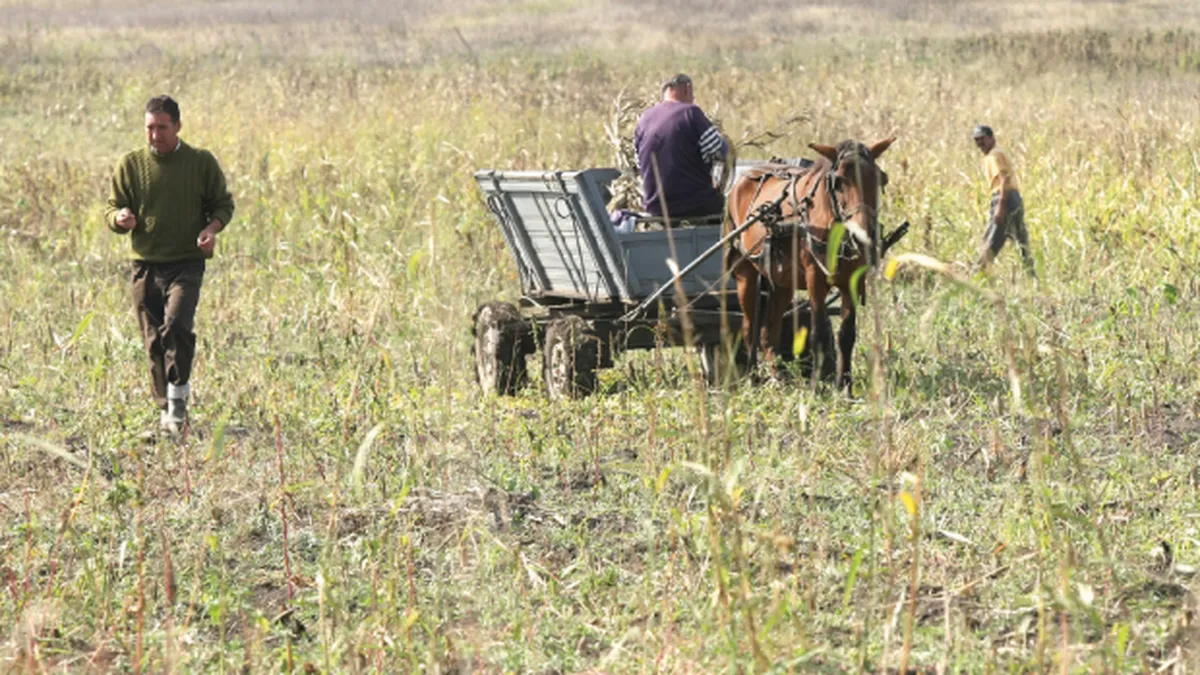 Investitiile in parloaga aduc profit garantat