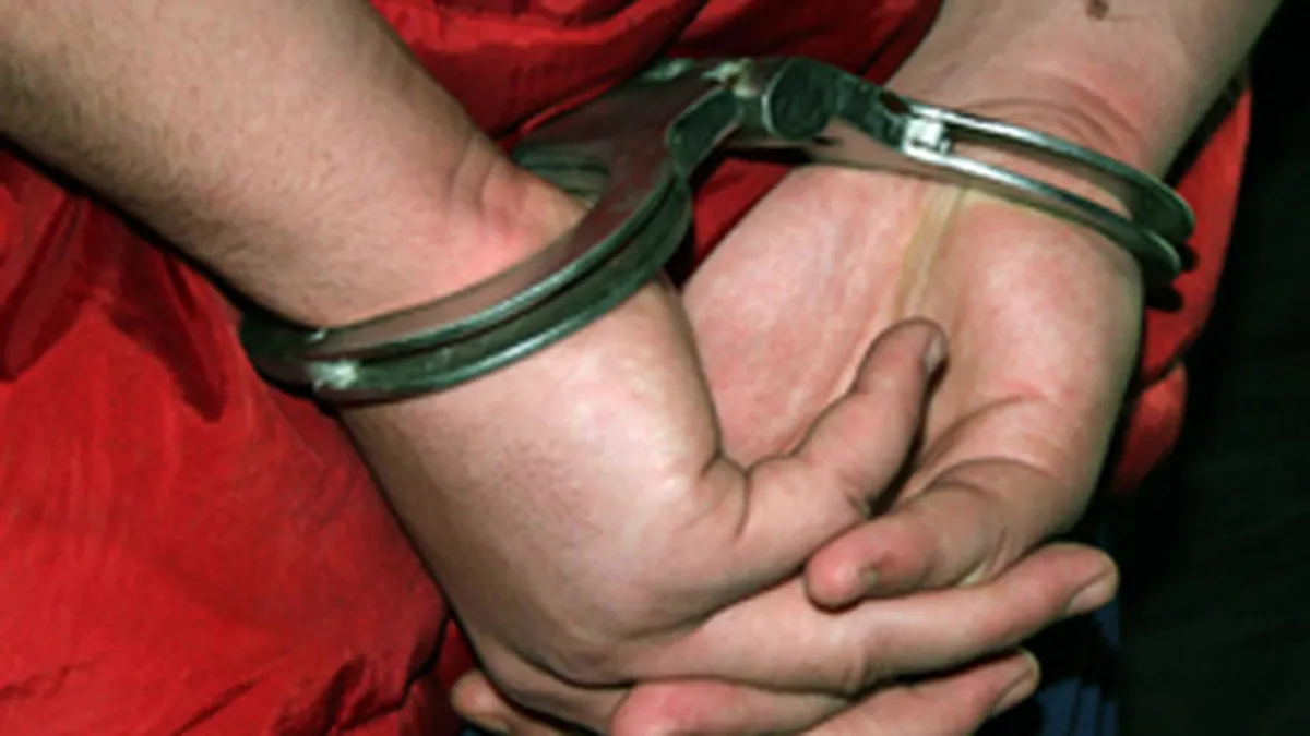 Toti cei 29 de acuzati in cazul importurilor din Portul Constanta au primit mandate de arestare