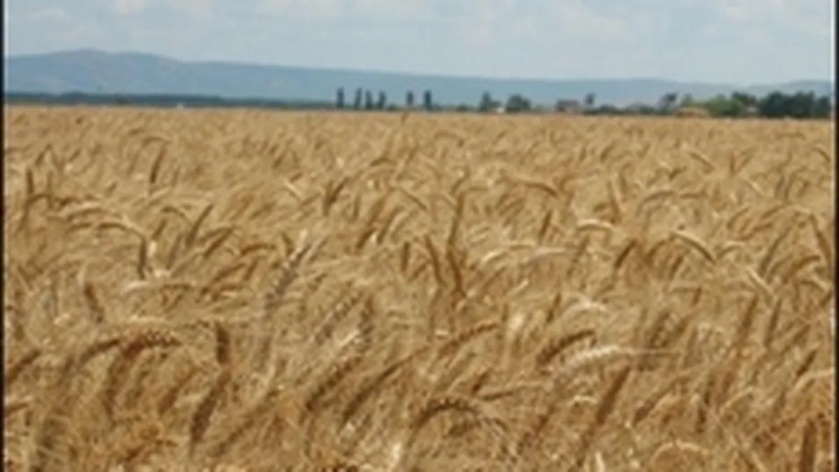 Putin: Rusia va ridica embargoul asupra exporturilor de cereale la 1 iulie