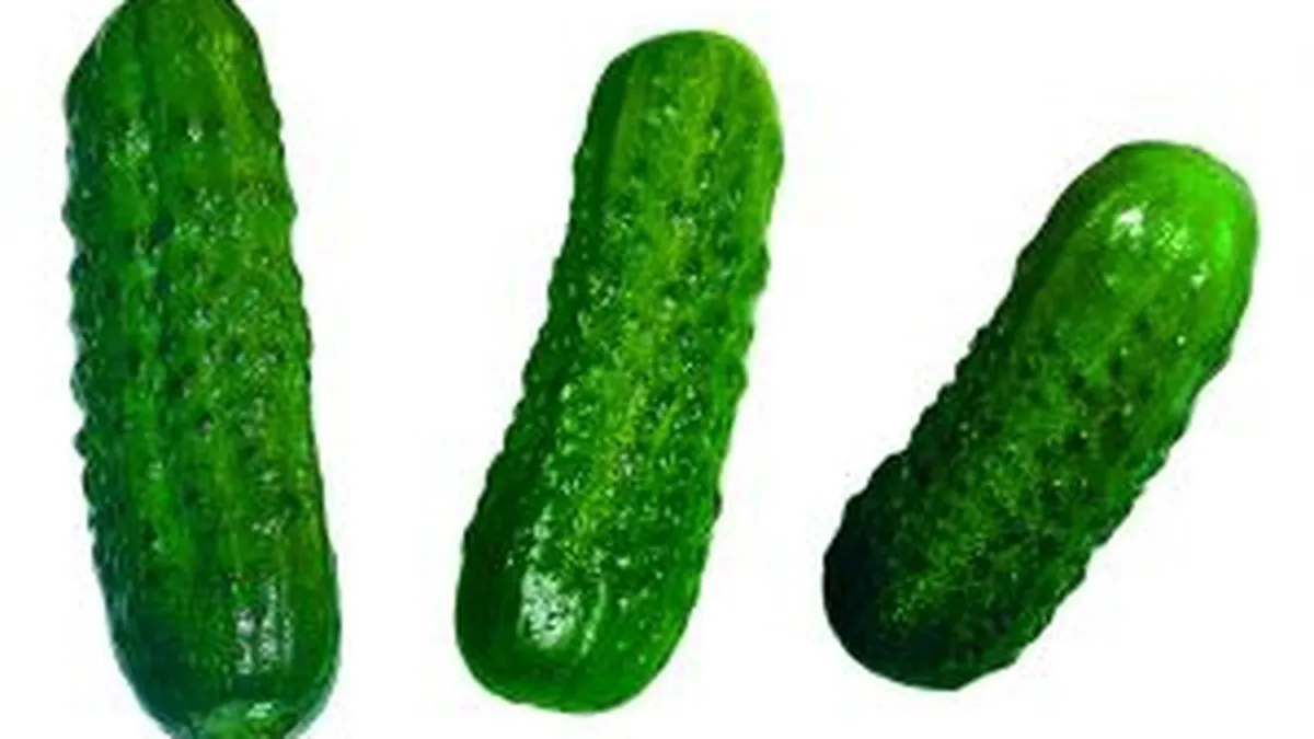 Ministerul Agriculturii: Producatorii romani de castraveti trebuie despagubiti. Pierderile lor ajung la 9 mil. euro