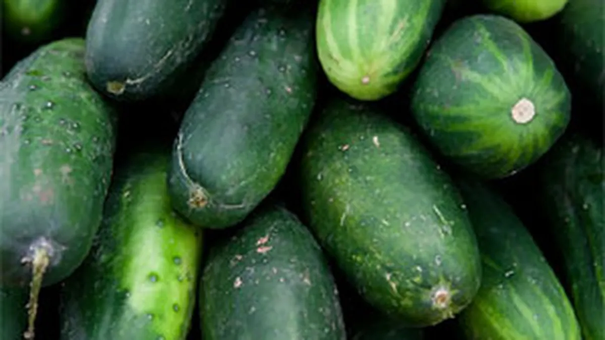 Tabara: Producatorii locali de castraveti au pierdut 9 mil. euro din cauza crizei E. Coli