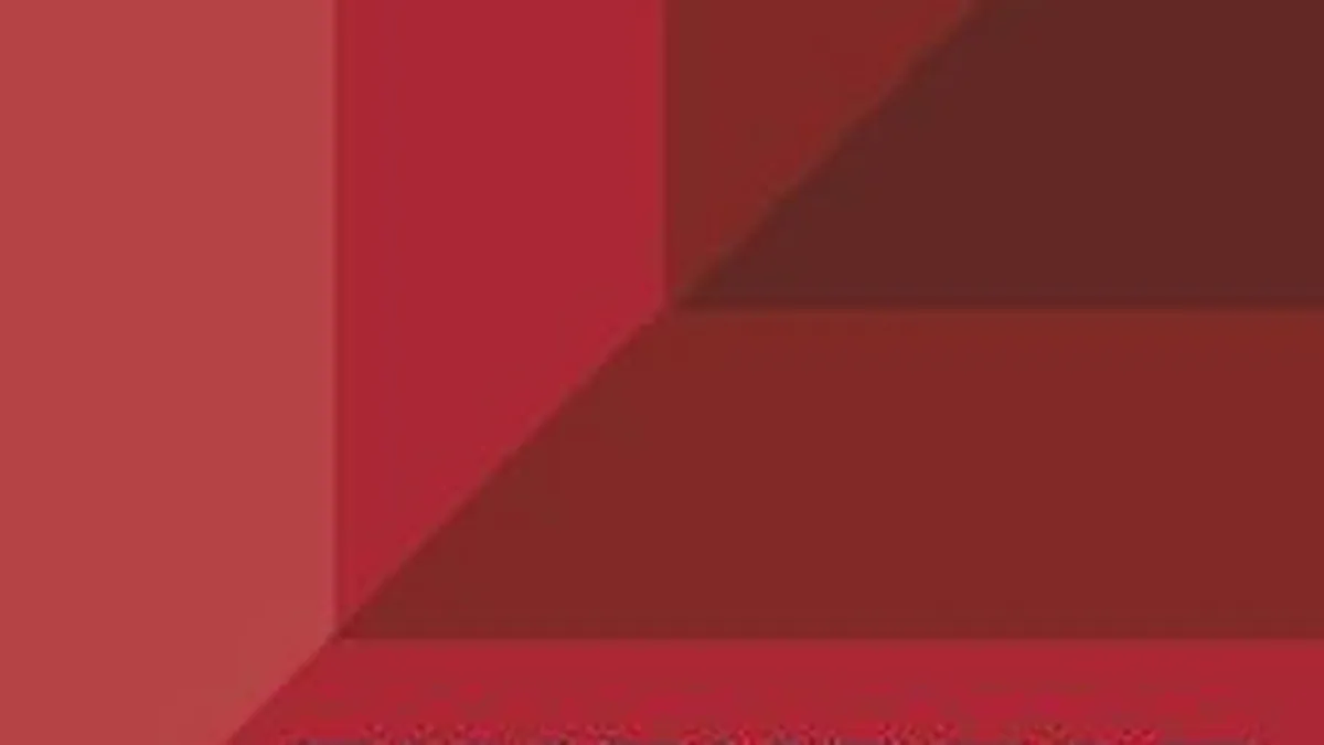 Finexpert, cifra de afaceri de 8,7 milioane lei in 2010